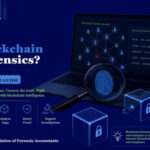 What is Blockchain Forensics