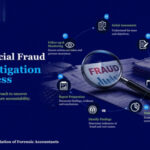 Financial Fraud Investigation Process