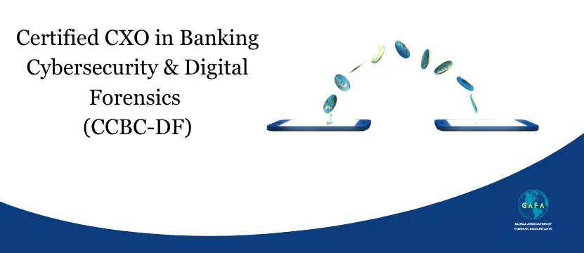 Certified CXO in Banking Cybersecurity & Digital Forensics (CCBC-DF) Certified CXO in Banking Cybersecurity & Digital Forensics (CCBC-DF)
