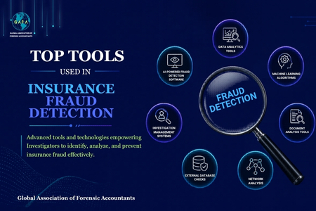 Top Tools Used in Insurance Fraud Detection