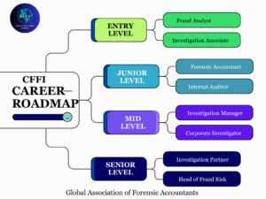 CFFI-Career path